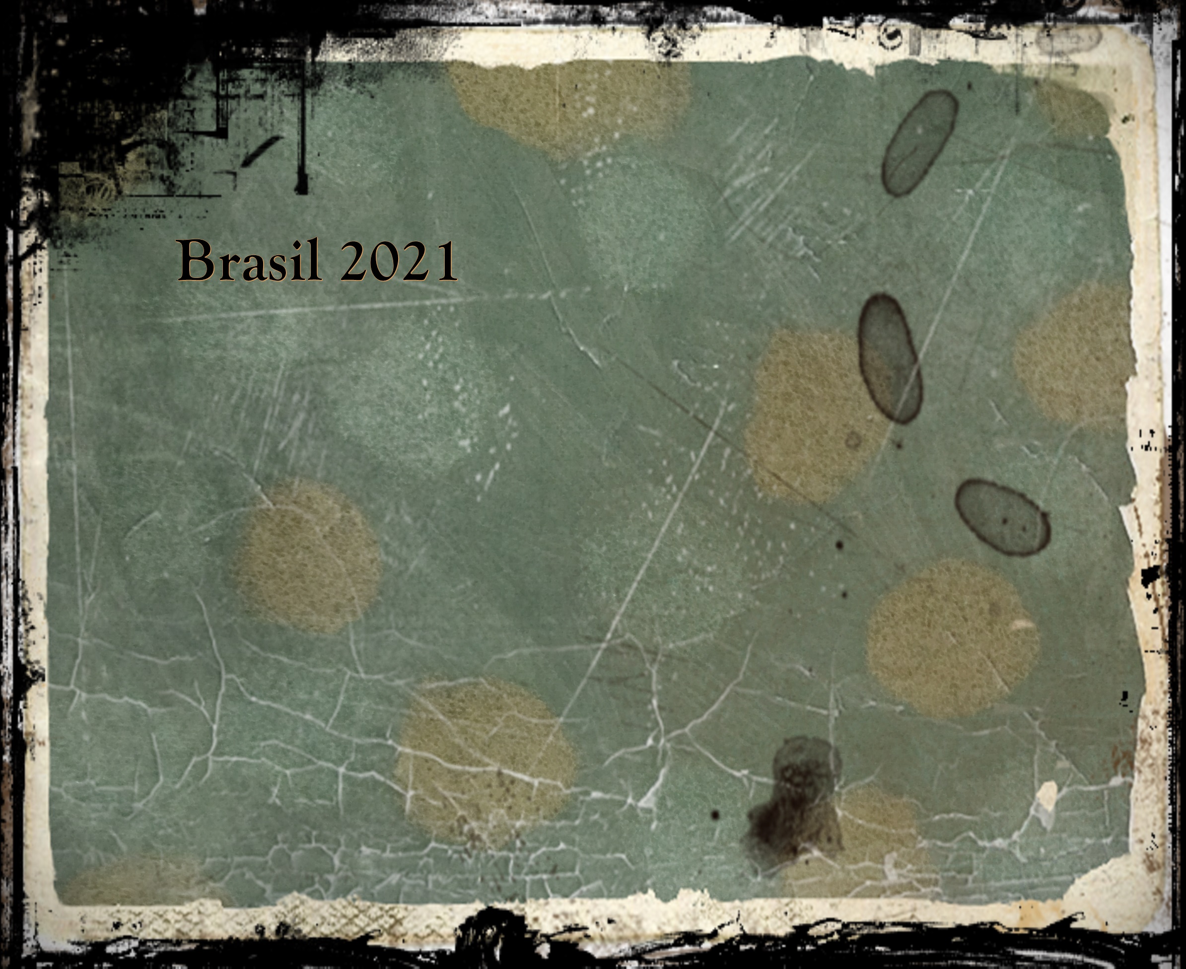Leia mais sobre o artigo Um poema para a História – Brasil 2021