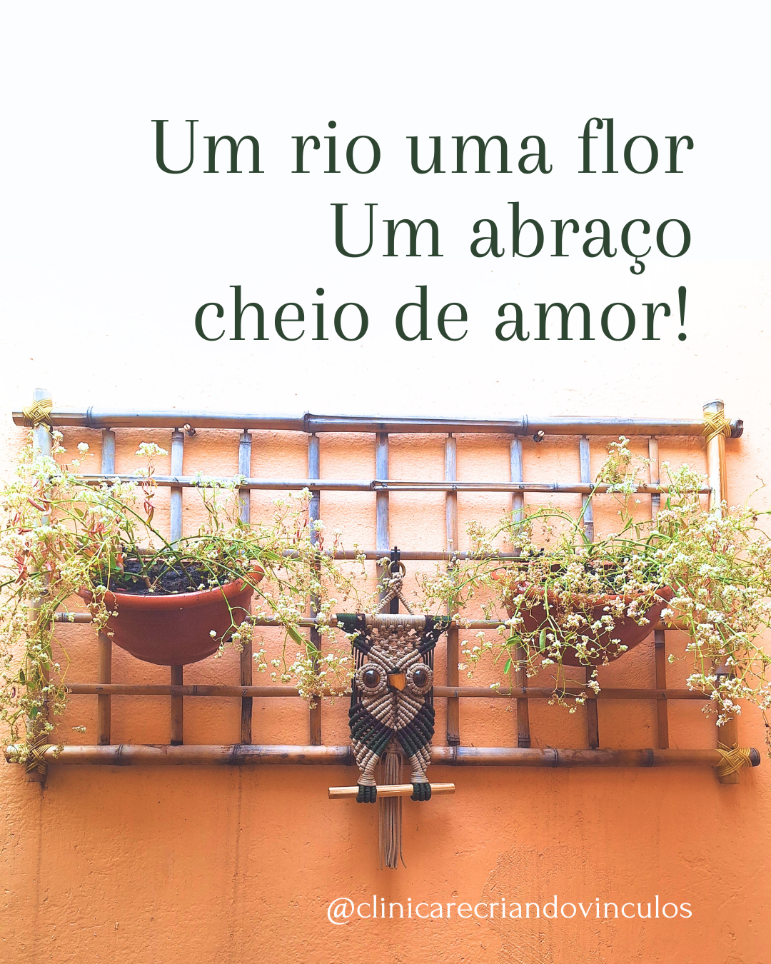 Leia mais sobre o artigo Um poema para a infância